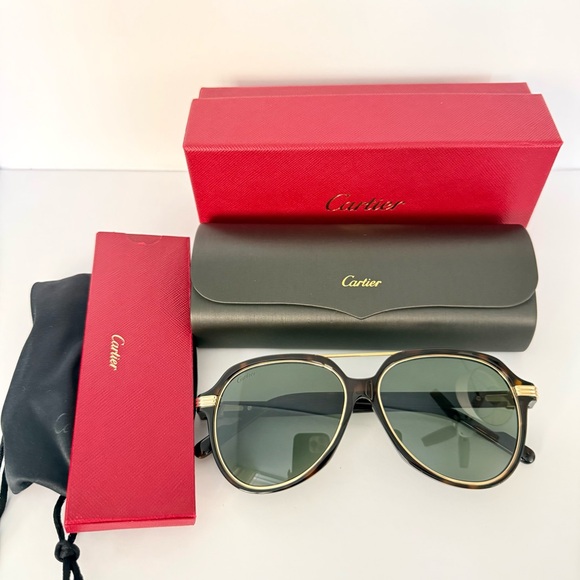 NWT!!! Cartier men sunglasses CT0159SA 002 Authentic Retail 1050$ - Picture 7 of 7